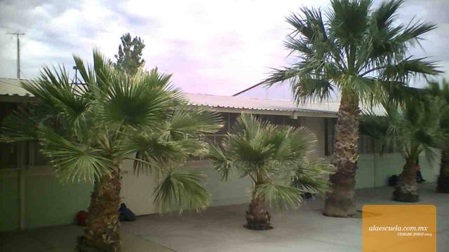 Aulas (vista previa)