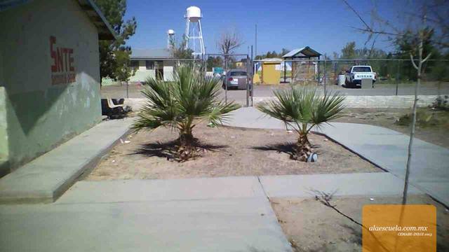 Entrada (vista previa)