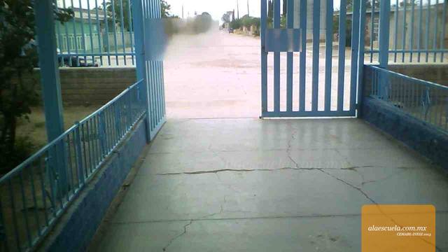 Entrada (vista previa)