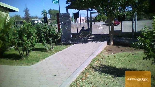 Entrada (vista previa)