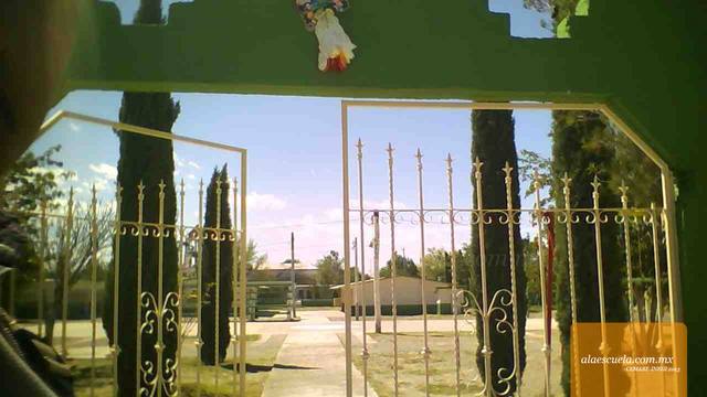 Entrada (vista previa)