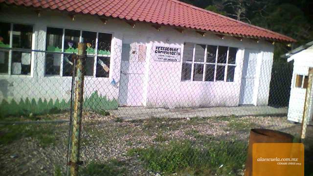 Entrada (vista previa)