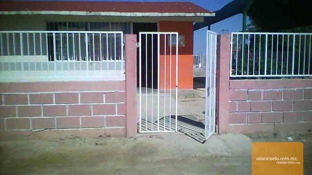 Entrada (vista previa)