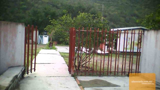 Entrada (vista previa)