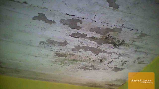 Aulas (vista previa)