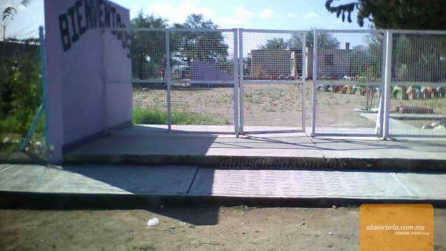 Entrada (vista previa)