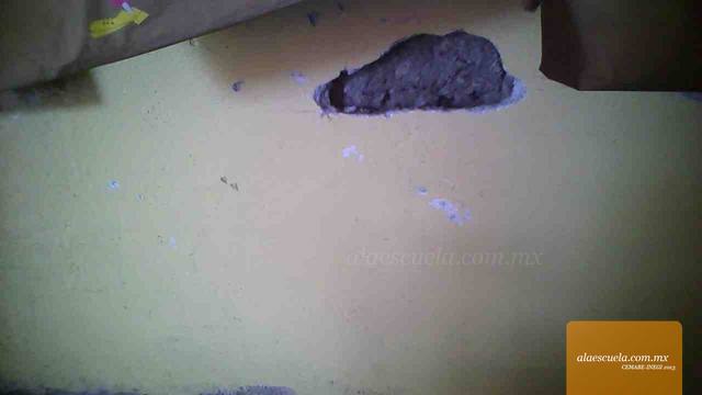 Aulas (vista previa)