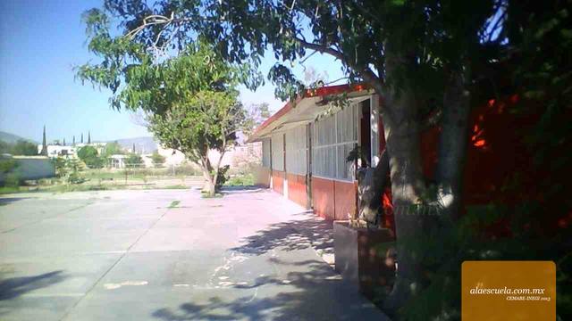 Entrada (vista previa)