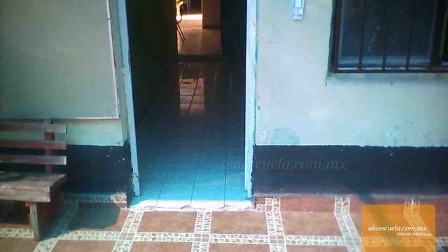 Entrada (vista previa)