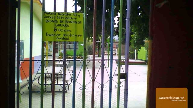 Entrada (vista previa)