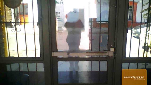 Entrada (vista previa)