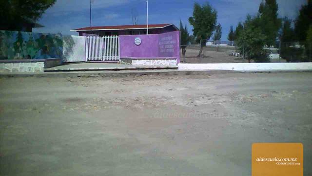 Entrada (vista previa)