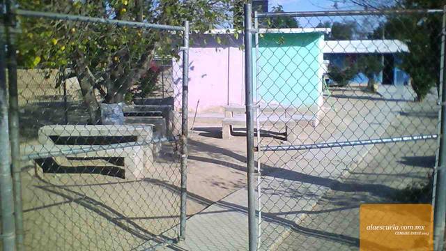 Entrada (vista previa)