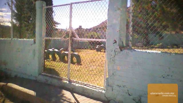 Entrada (vista previa)