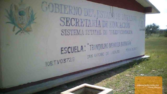 Entrada (vista previa)