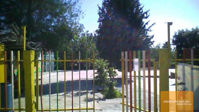 Entrada (vista previa)