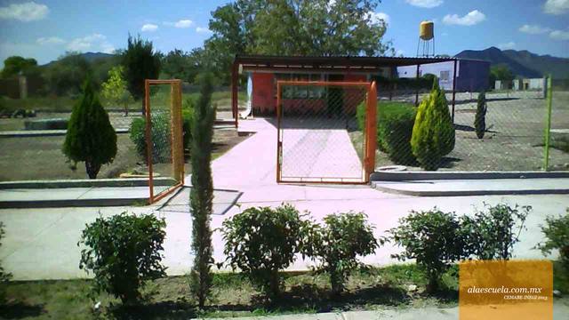 Entrada (vista previa)