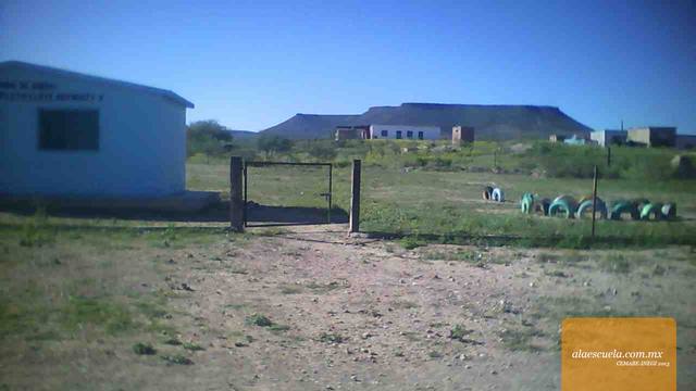 Entrada (vista previa)