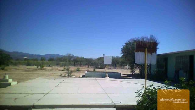 Entrada (vista previa)