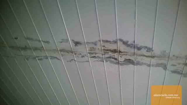 Aulas (vista previa)