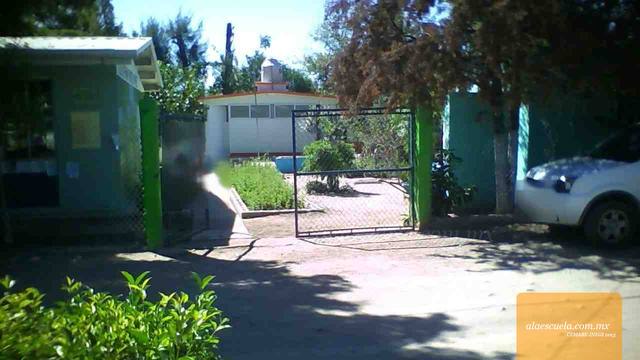 Entrada (vista previa)