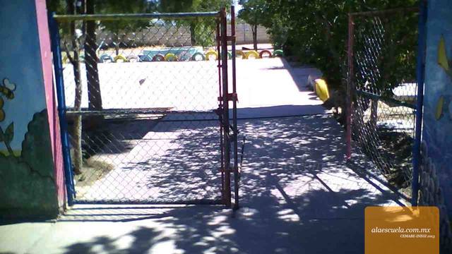Entrada (vista previa)