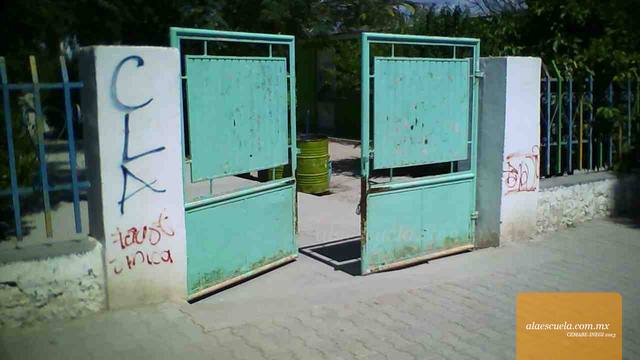 Entrada (vista previa)