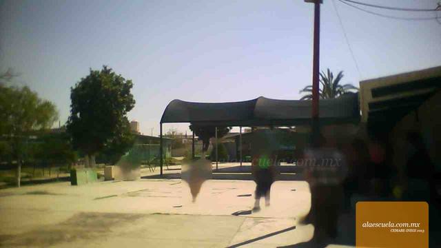 Entrada (vista previa)