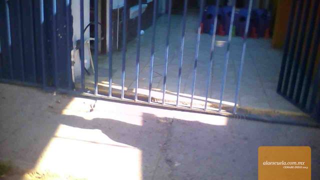 Entrada (vista previa)