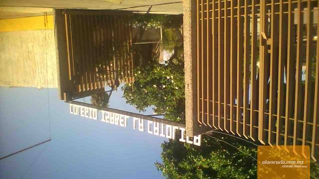 Entrada (vista previa)