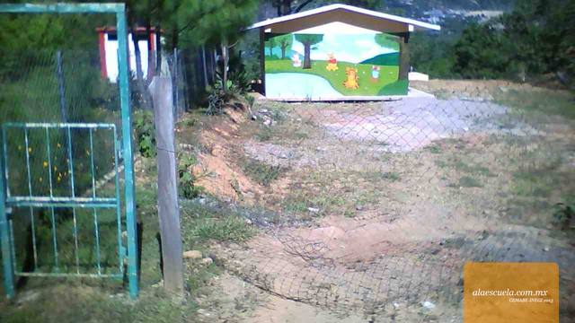 Entrada (vista previa)