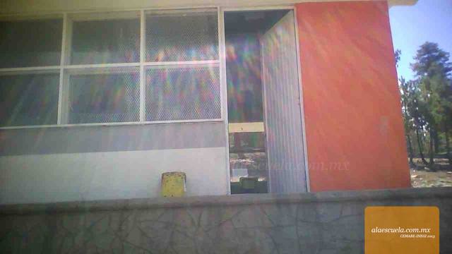 Entrada (vista previa)