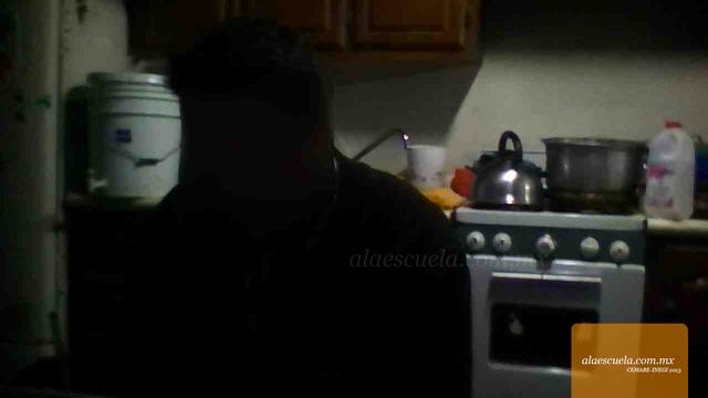 Entrada (vista previa)