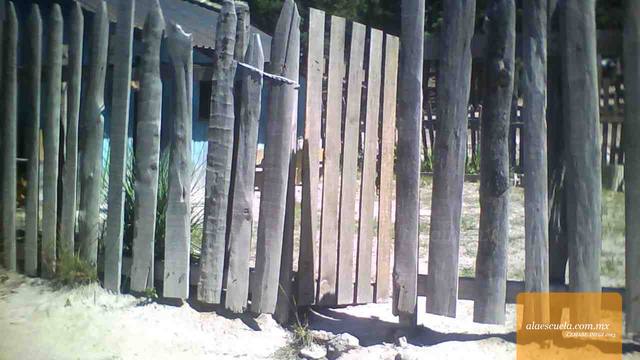 Entrada (vista previa)