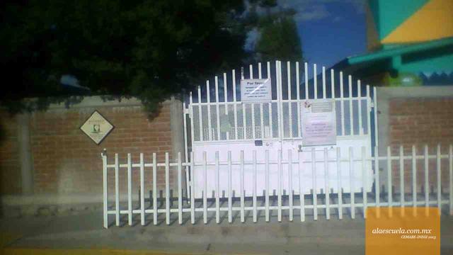 Entrada (vista previa)