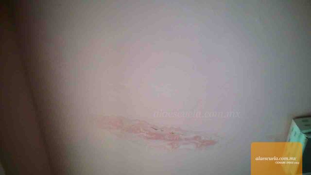 Aulas (vista previa)