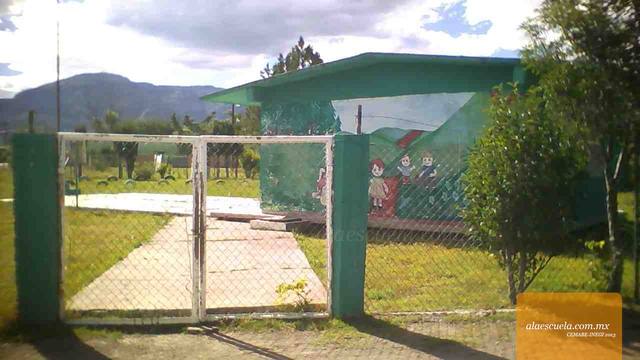 Entrada (vista previa)