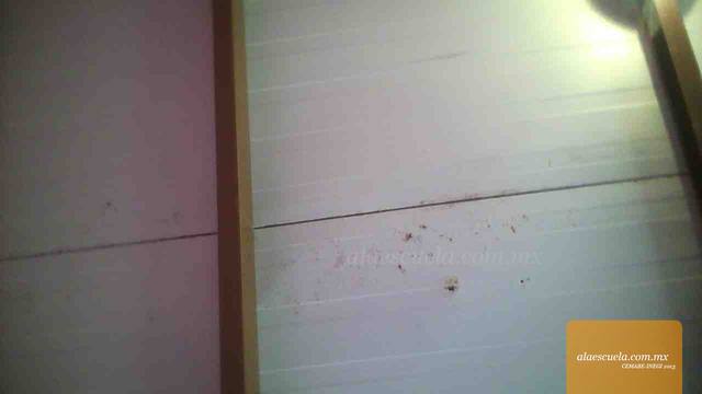 Aulas (vista previa)