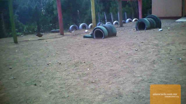 Áreas (vista previa)