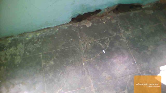 Aulas (vista previa)