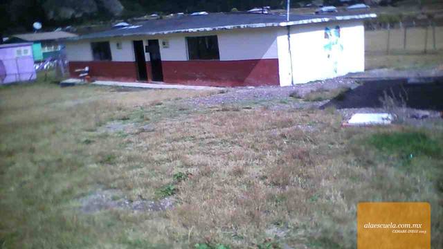 Entrada (vista previa)