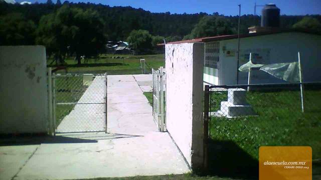 Entrada (vista previa)