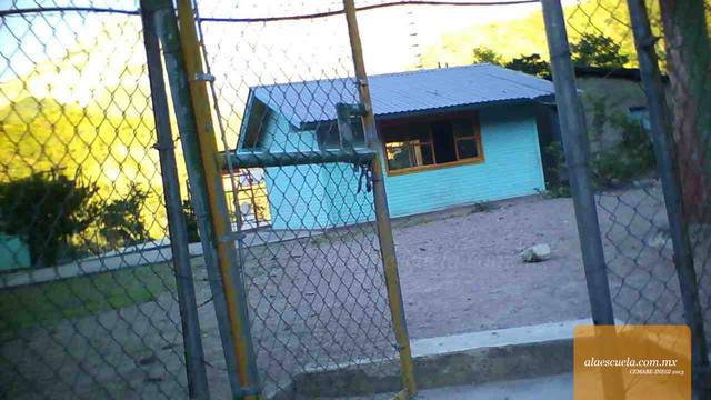 Entrada (vista previa)
