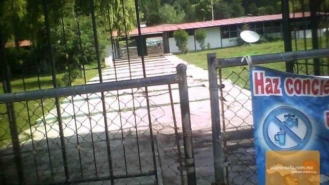 Entrada (vista previa)