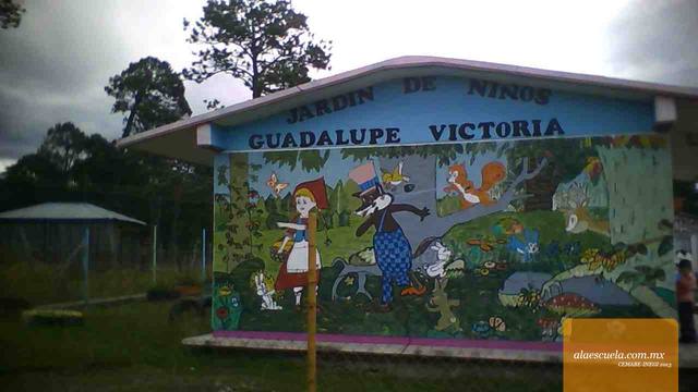 Entrada (vista previa)