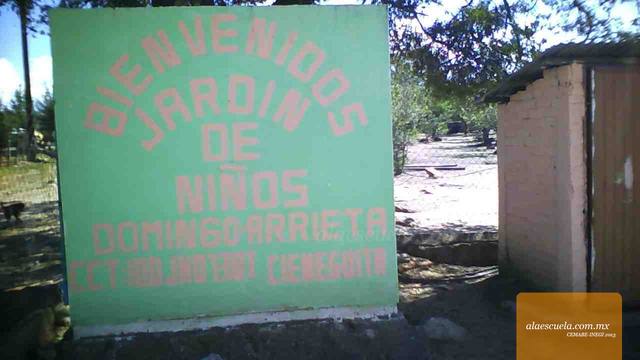 Entrada (vista previa)