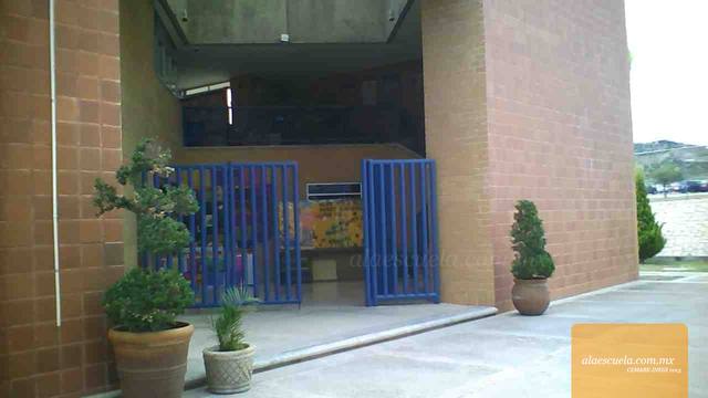 Entrada (vista previa)