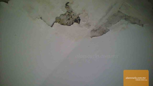 Aulas (vista previa)