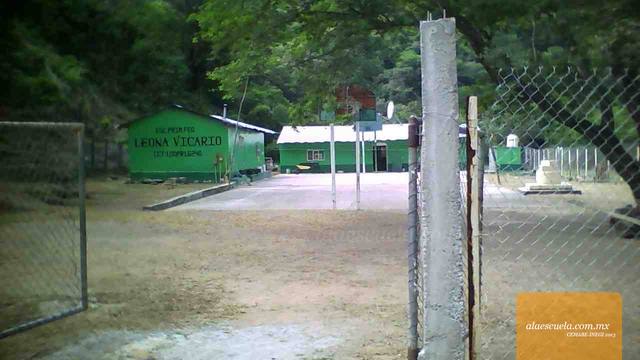 Entrada (vista previa)