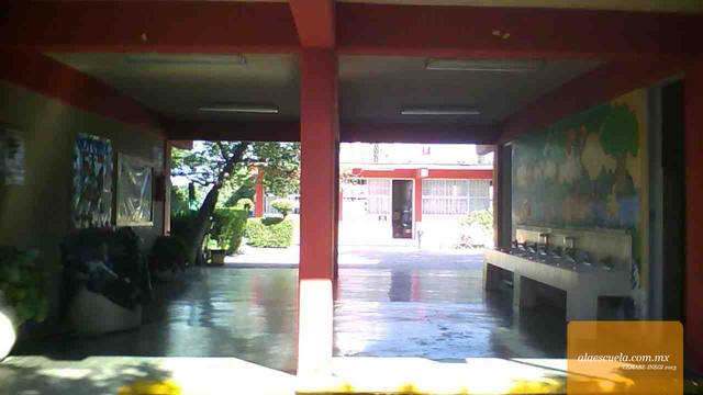 Entrada (vista previa)